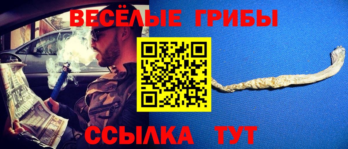 Галлюциногенные грибы MAGIC MUSHROOMS  Вход с VPN  Псилоцибиновые грибы ЛСД  Кировск 